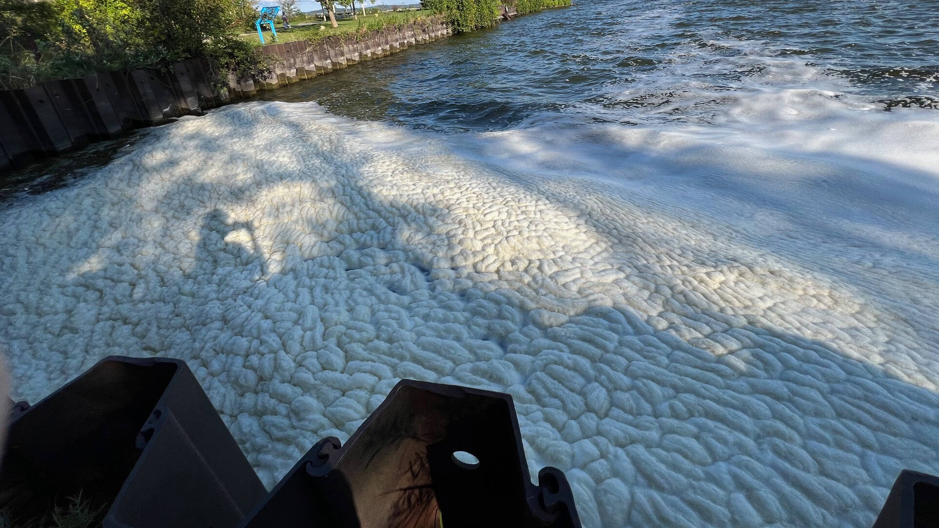 Collection of pfas foam along the Lakeshore Trail 2024